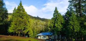 Starlink Mariposa Yosemite mountain retreat